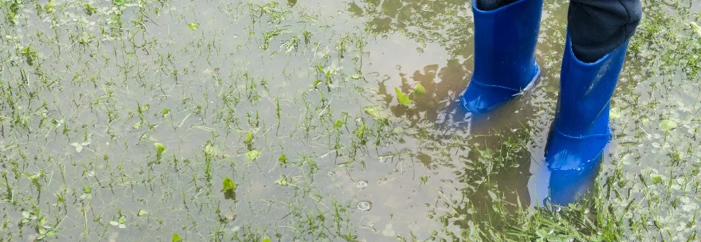 Blaue Gummistiefel in einer Pfütze